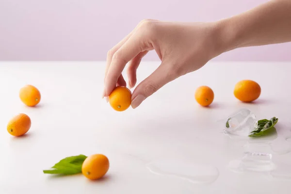 Cropped image of woman holding kumquat over table with mint leaves, ice cubes and kumquats on purple background — Stock Photo