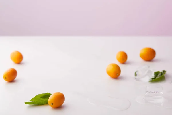 Kumquats, hojas de menta, cubitos de hielo sobre la mesa sobre fondo púrpura - foto de stock