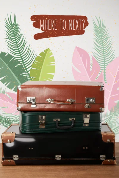 Stacked old leather travel bags with palm leaves illustration — Stock Photo