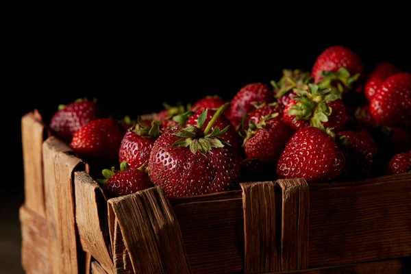 Nahaufnahme von reifen Erdbeeren in Schachtel isoliert auf schwarz — Stockfoto