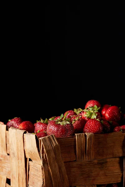 Fresas rojas frescas en caja rústica aislada en negro - foto de stock