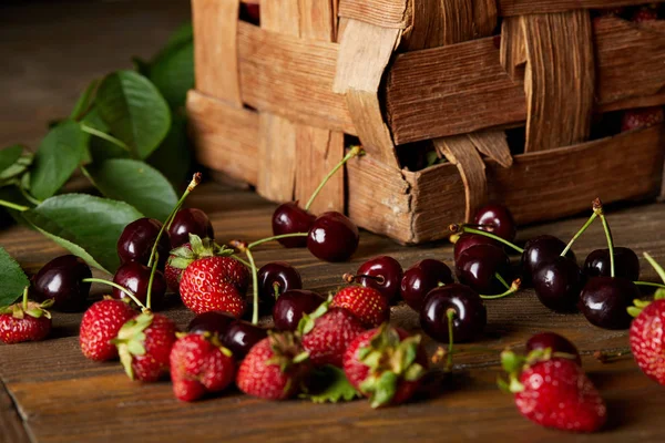 Cerezas maduras y fresas en la superficie de madera con hojas y caja rústica - foto de stock