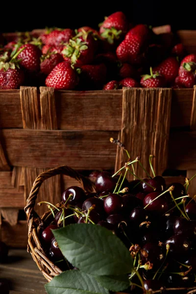 Cerises fraîches mûres et fraises dans le panier et la boîte — Photo de stock