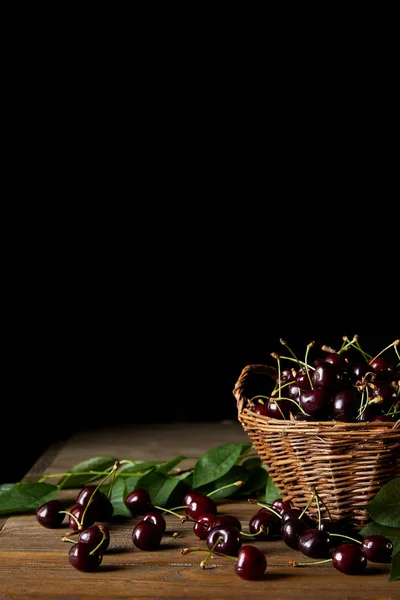 Frisch geerntete rote Kirschen in altem Korb mit Blättern auf Holztisch und auf schwarzem — Stockfoto