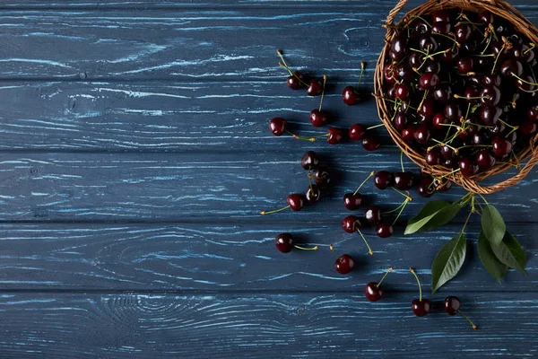 Vue de dessus des cerises mûres dans le panier sur la surface en bois bleu — Photo de stock