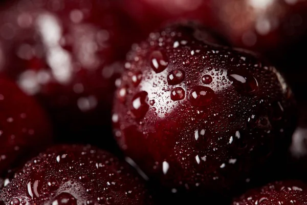 Gros plan de cerises douces rouges recouvertes de gouttelettes d'eau — Photo de stock