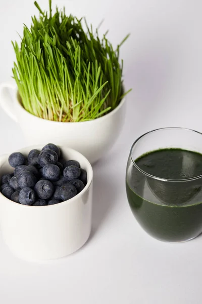 Fresh drink from spirulina, cups with spirulina grass and blueberries on grey background — Stock Photo