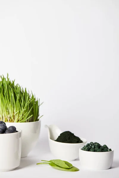 Vista da vicino di tazze con erba Spirulina e mirtilli, foglie, ciotole con polvere di Spirulina e pillole di Spirulina su sfondo grigio — Foto stock