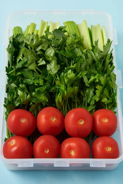 Vista de perto do recipiente de alimentos cheio de tomates frescos, salsa e aipo no fundo azul — Fotografia de Stock
