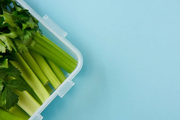 Vista superior do recipiente de alimentos cheio de salsa saudável e aipo isolado em azul — Fotografia de Stock