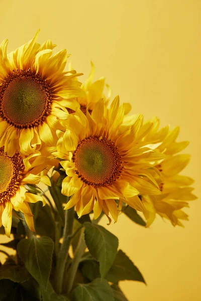Декоративний букет з красивими соняшниками, ізольований на жовтому — стокове фото