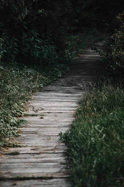 Holzweg zwischen grünem Gras im Park punktuell in den Fokus gerückt — Stockfoto