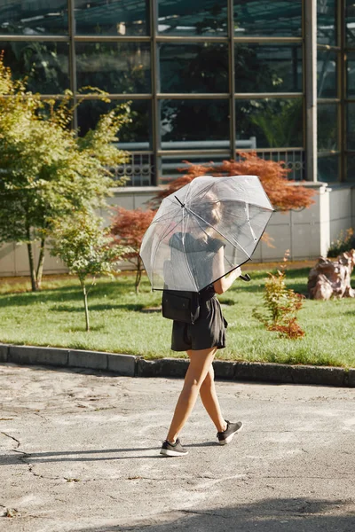 Vista trasera de la mujer caminando con paraguas transparente en el parque de verano - foto de stock