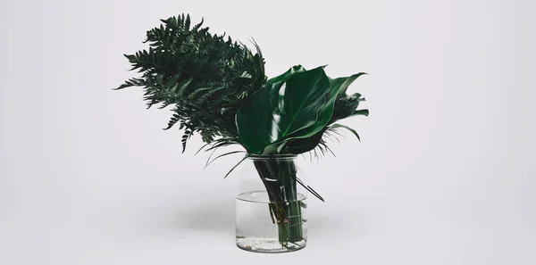 Bunch of different green leaves in glass vase on white — Stock Photo