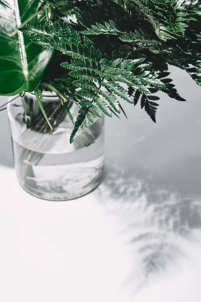 Крупным планом сфотографировали кучу различных зеленых листьев в стеклянной вазе на белом — стоковое фото