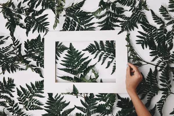 Corte tiro de mulher segurando quadro sobre folhas de samambaia verde isolado no branco — Fotografia de Stock