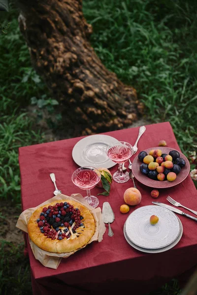 Pastel de bayas cocidas y copas de vino en la mesa en el jardín - foto de stock