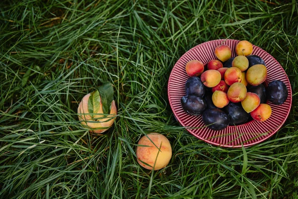 Pflaumen und Pfirsiche auf grünem Gras im Garten — Stockfoto