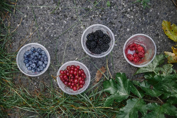 Top view of raspberries, currants, blueberries and blackberries in plastic glasses on ground — Stock Photo