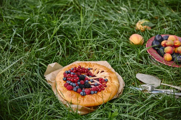 Torta com bagas, prato com frutas e utensílios na grama verde — Fotografia de Stock