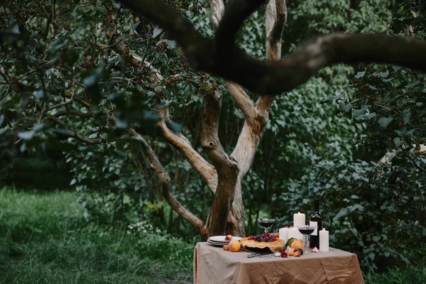 Velas, vino y tarta de bayas en la mesa en el jardín - foto de stock