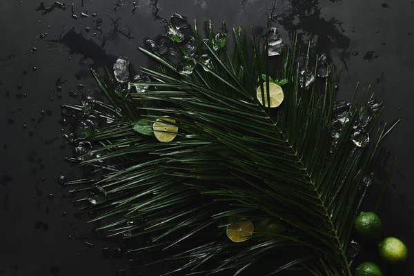 Vue de dessus des limes fraîches, des glaçons et des belles feuilles de palmier vert sur noir — Photo de stock