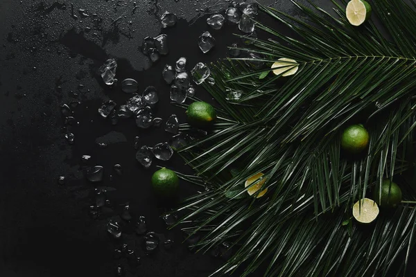 Vue de dessus des tilleuls entiers et tranchés, des glaçons et des belles feuilles de palmier vert sur noir — Photo de stock