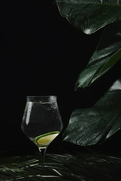 Verre avec boisson rafraîchissante et feuilles tropicales vertes humides sur noir — Photo de stock