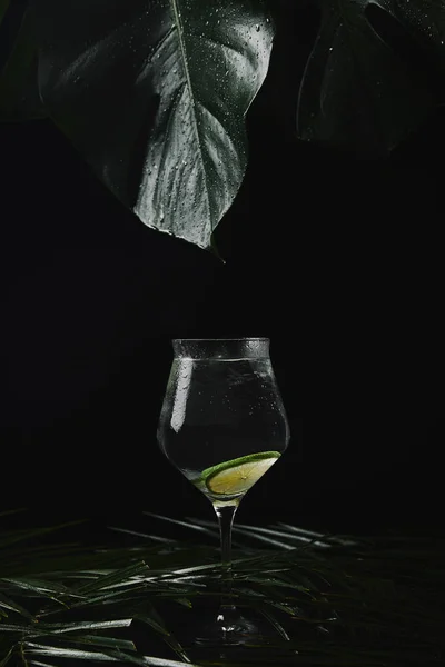 Vista de cerca del vidrio con bebida refrescante y hojas tropicales de color verde húmedo sobre negro — Stock Photo