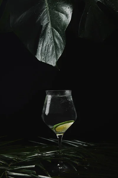 Close-up view of glass with refreshing beverage and wet green tropical leaves on black — Stock Photo