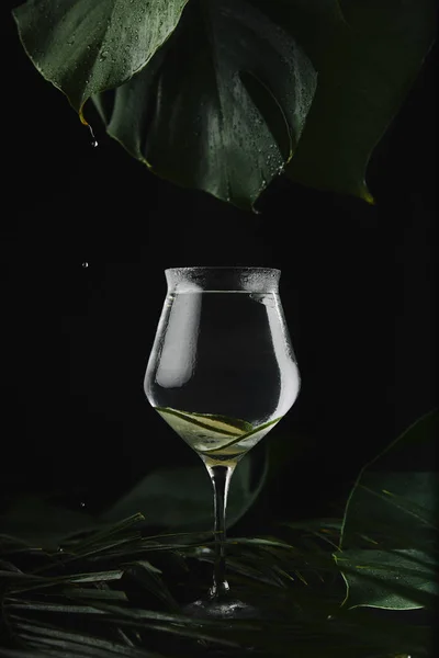 Close-up view of glass with refreshing beverage and lemon slices, green leaves and water drops on black — Stock Photo