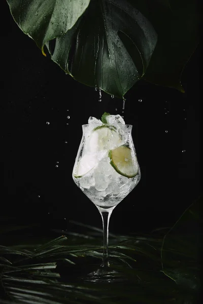 Vista de perto de vidro com cubos de gelo e fatias de limão, folhas verdes e gotas de água em preto — Fotografia de Stock