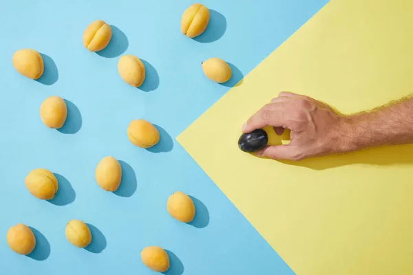 Plan recadré de la personne tenant du raisin à corde et des abricots doux frais — Photo de stock