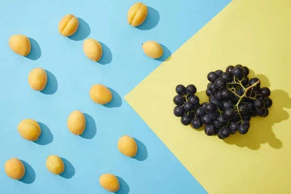 Vue de dessus des abricots frais mûrs et des raisins sur bleu et jaune — Photo de stock