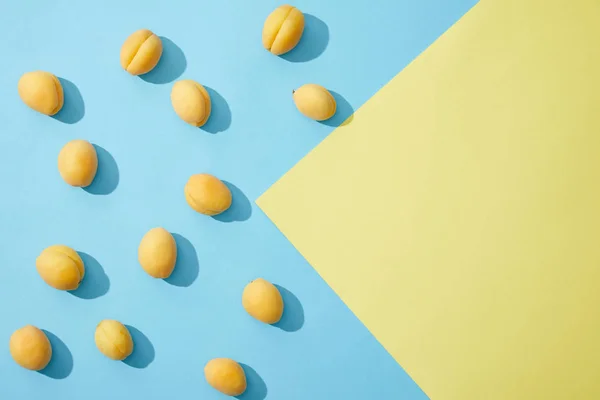 Vue de dessus des abricots mûrs savoureux sur fond bleu et jaune — Photo de stock