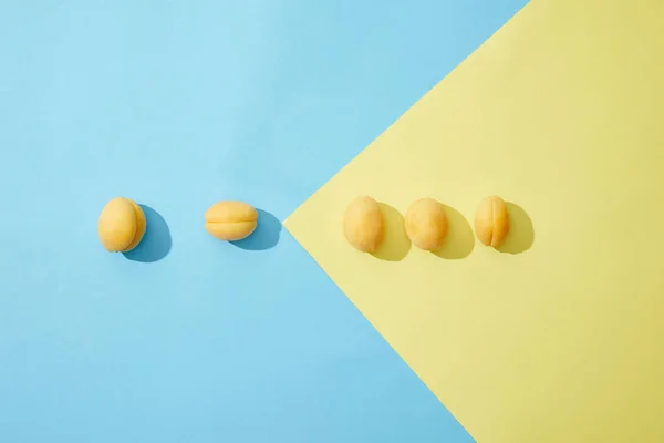 Вид зверху на свіжі смачні абрикоси в ряд на синьо-жовтому фоні — стокове фото
