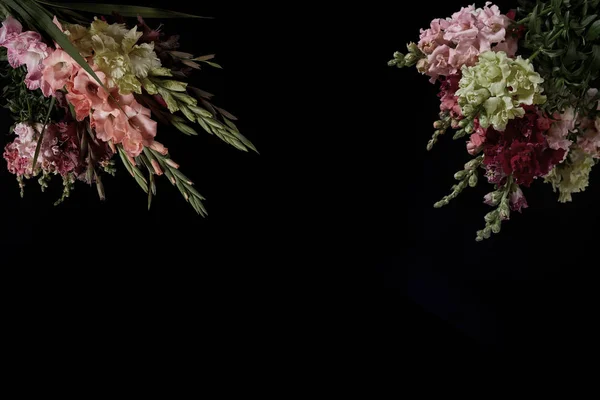 Belles fleurs de gladioli à fleurs tendres isolées sur fond noir — Photo de stock