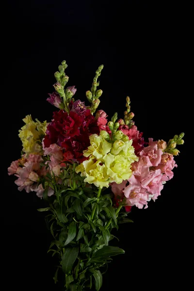 Vista de cerca del ramo de hermosas flores con brotes aislados sobre fondo negro - foto de stock