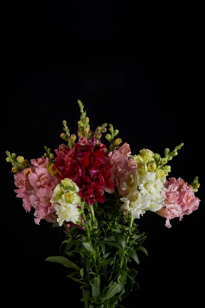 Buquê de belas flores frescas com botões isolados no fundo preto — Fotografia de Stock