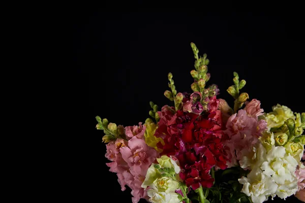 Ramo de hermosas flores de gladiolos decorativos varios con brotes aislados sobre fondo negro - foto de stock