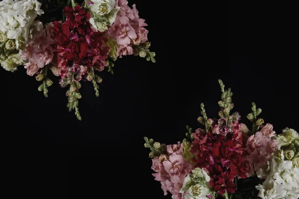 Hermoso varios gladiolos decorativos flores con brotes aislados sobre fondo negro - foto de stock