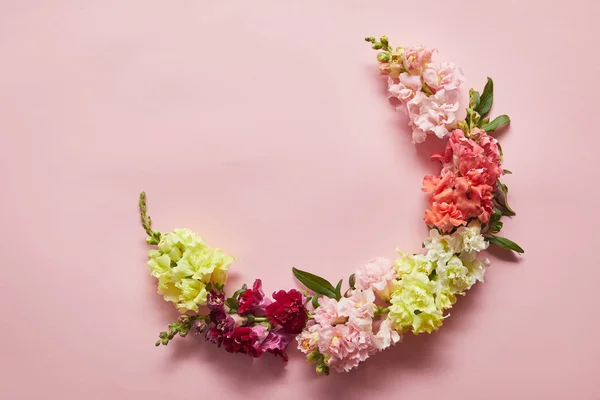 Vista dall'alto di bellissimi fiori rosa teneri, bianchi, gialli e rossi su sfondo rosa — Foto stock