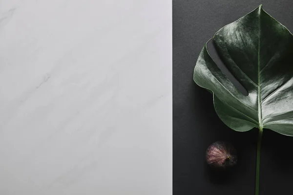 Black paper with monstera leaf and fig fruit on white marble background — Stock Photo