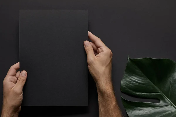 Male hands holding black notebook on black background with green leaf — Stock Photo