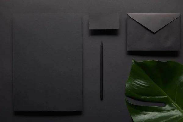 Modèle d'affaires avec carnet noir sur fond noir avec feuille de monstera — Photo de stock