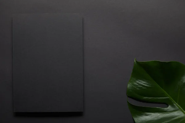 Schwarzes Notizbuch auf schwarzem Hintergrund mit Monstera-Blatt — Stockfoto