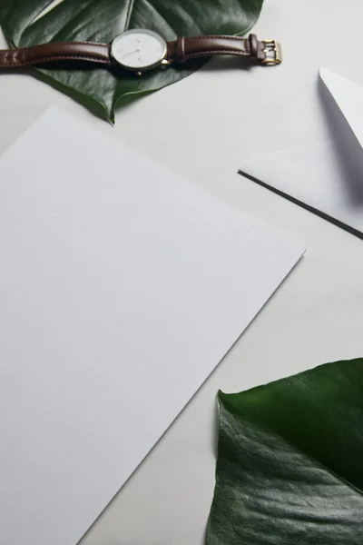 Papel em branco e relógio no fundo de mármore branco com folhas monstera — Fotografia de Stock