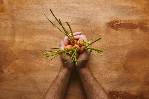 Manos masculinas sosteniendo racimo de zanahorias en mesa de madera - foto de stock