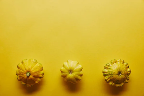 Abóboras de verão em uma linha no fundo amarelo — Fotografia de Stock