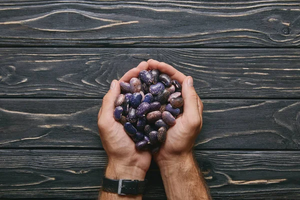 Manos masculinas sosteniendo frijoles de judía en mesa de madera oscura - foto de stock